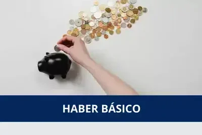 Haber básico