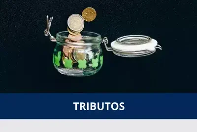 que son los tributos en bolivia