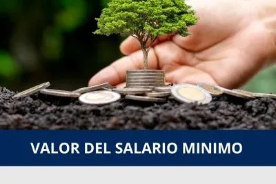 valor historico del salario mínimo