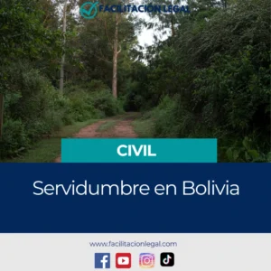 Servidumbres en Bolivia (2026): Tipos, Costos y Proceso Legal